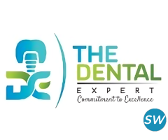 The Dental Expert - 1