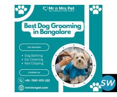 Best Dog Grooming at Home in Bangalore - 1