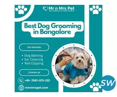 Best Dog Grooming at Home in Bangalore - 1