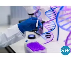 Drug Discovery and Development Services