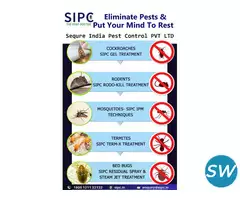 Best Pest Control in Bangalore