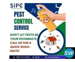 Best Pest Control in Bangalore