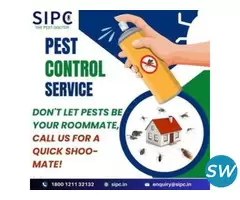 Best Pest Control in Bangalore