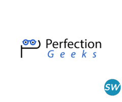 Product Design Services - PerfectionGeeks