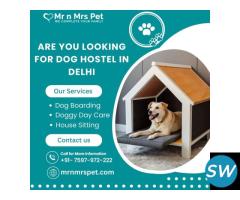 Dog Hostel in Delhi at Affordable Price - 1