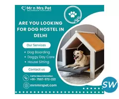 Dog Hostel in Delhi at Affordable Price - 1