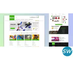 custom wordpress development company