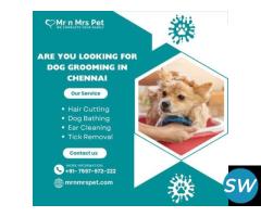 The Best Dog Grooming in Chennai - 1