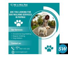 Professional Dog Walking Services in Mumbai - 1