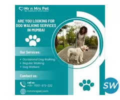 Professional Dog Walking Services in Mumbai