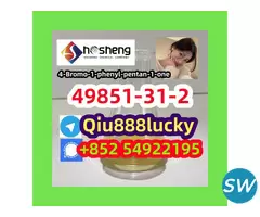 49851-31-2 4-Bromo-1-phenyl-pentan-1-one