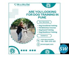 Best Dog Training in Pune