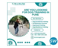 Best Dog Training in Pune - 1