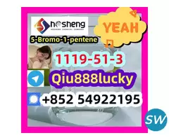 1119-51-3 5-Bromo-1-pentene