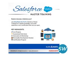 AlmaMate Info Tech | Best Salesforce Training