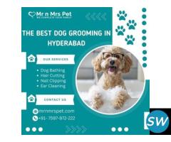 Best Dog Grooming at Home in Hyderabad - 1