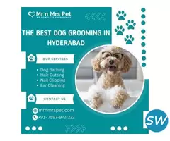 Best Dog Grooming at Home in Hyderabad