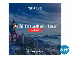delhi to kashmir tour packages for couple
