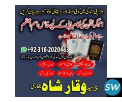 Best no 1 Amilbaba kala jadu specialist expert