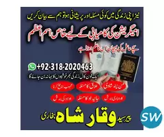 Best no 1 Amilbaba kala jadu specialist expert
