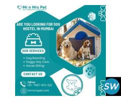 The Best Dog Hostel in Mumbai - 1