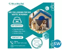 The Best Dog Hostel in Mumbai - 1