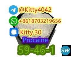 Procaine CAS 59-46-1