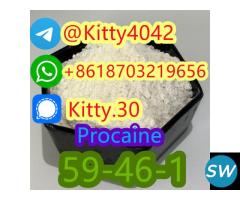 Procaine CAS 59-46-1