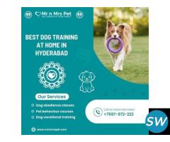 Best Dog Training at Home in Hyderabad