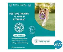 Best Dog Training at Home in Hyderabad