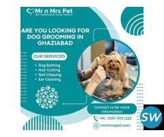 The Best Dog Grooming in Ghaziabad