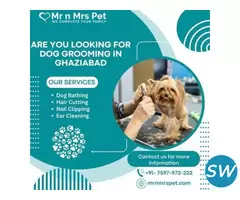 The Best Dog Grooming in Ghaziabad