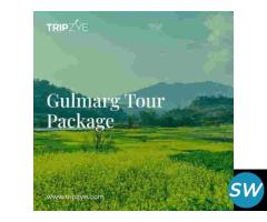 gulmarg kashmir tour package