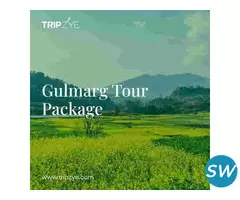 gulmarg kashmir tour package - 1