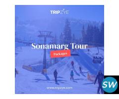 sonmarg tour packages