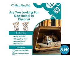 Affordable Dog Hostel in Chennai