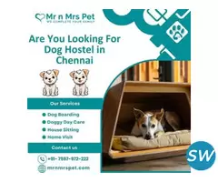 Affordable Dog Hostel in Chennai