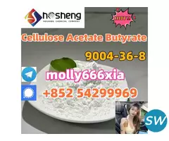 9004-36-8  Cellulose Acetate Butyrate - 1
