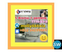 1119-51-3	5-Bromo-1-pentene