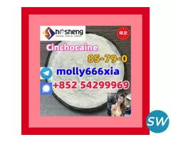 85-79-0	Cinchocaine