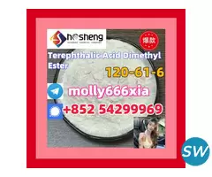 120-61-6	Terephthalic Acid Dimethyl Ester