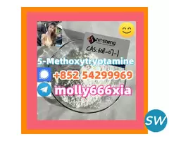 608-07-1	5-Methoxytryptamine - 1