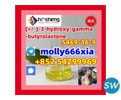 5469-16-9	(+/-)-3-hydroxy-gamma-butyrolactone