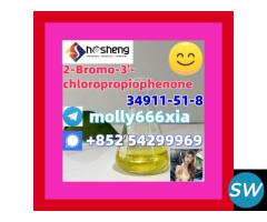 34911-51-8	2-Bromo-3'-chloropropiophenone