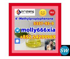 5337-93-9	4'-Methylpropiophenone