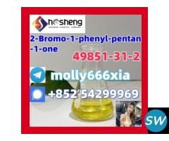 49851-31-2	2-Bromo-1-phenyl-pentan-1-one