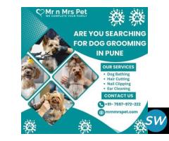 Exclusive Dog Grooming at Home in Pune