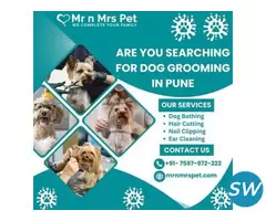 Exclusive Dog Grooming at Home in Pune