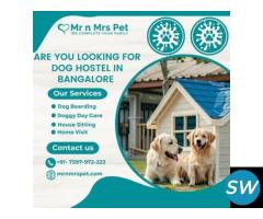 Best Dog Hostel in Bangalore at Affordable Price