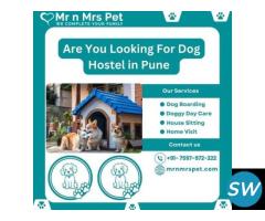 Best Dog Hostel in Pune at Affordable Price